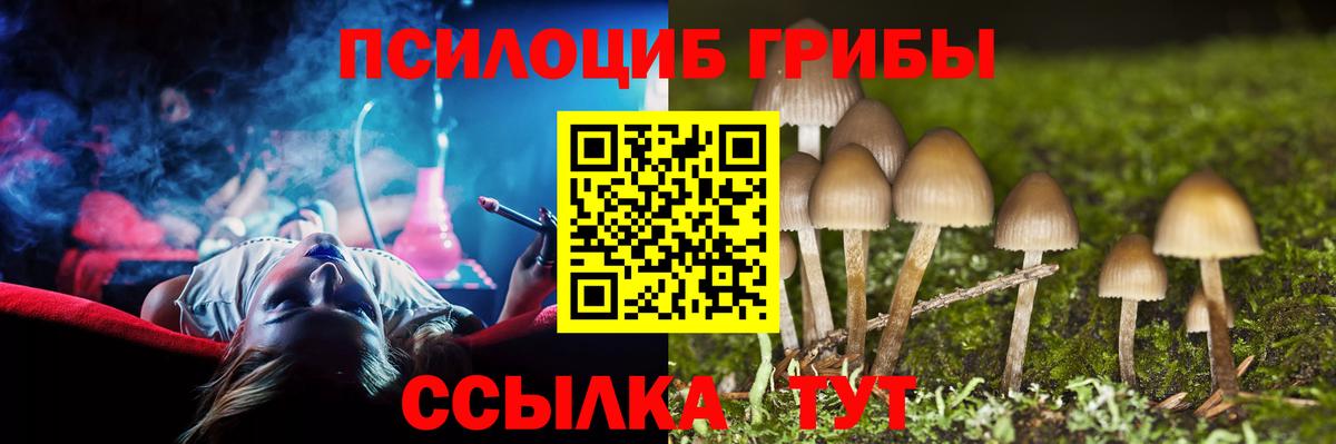 Галлюциногенные грибы Cubensis Шахты