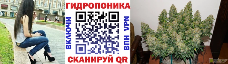 Марихуана тримм  продажа наркотиков  Шахты 